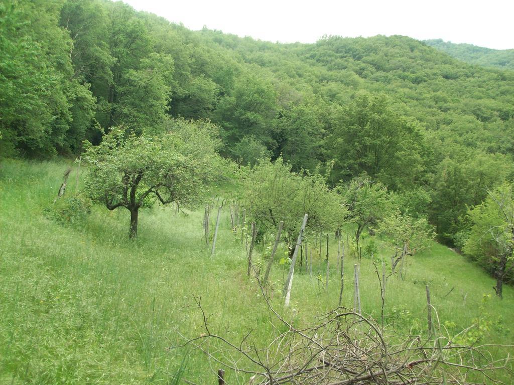 Piccolo Rifugio Nel Verde Chiusavecchia Ngoại thất bức ảnh