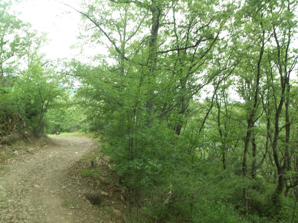 Piccolo Rifugio Nel Verde Chiusavecchia Ngoại thất bức ảnh
